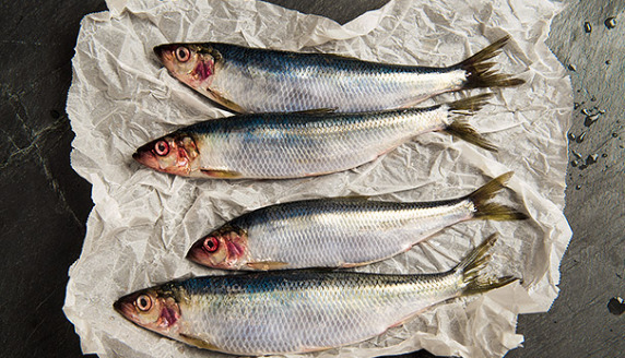 Śledź  - Kulinarna Akcja Bezpośrednia