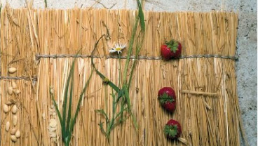 Kuchnia Polska. Potrawy regionalne