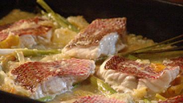 Czerwony lucjan z trawą cytrynową