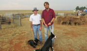 River Cottage: Australia 2