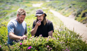 Curtis Stone: smaki z moich podróży