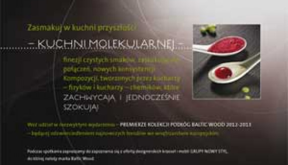 Świat Przyszłości – Akademia Inspiracji Baltic Wood