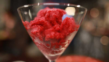 Sorbet wiśniowy Martini