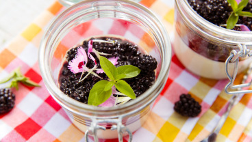 Maślankowa panna cotta z jeżynami