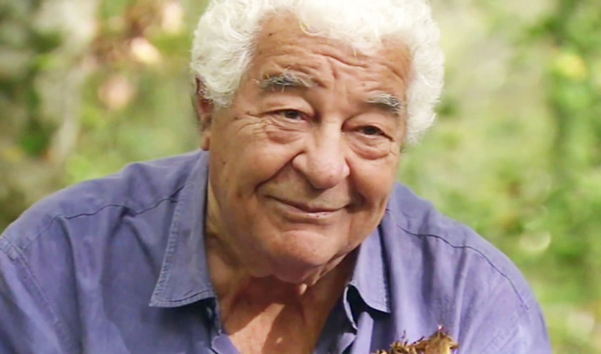 Antonio  Carluccio