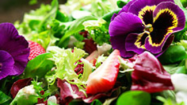 Mix sałat z kwiatami jadalnymi