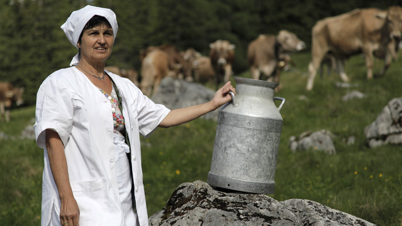 Kulinarne dziedzictwo Alp