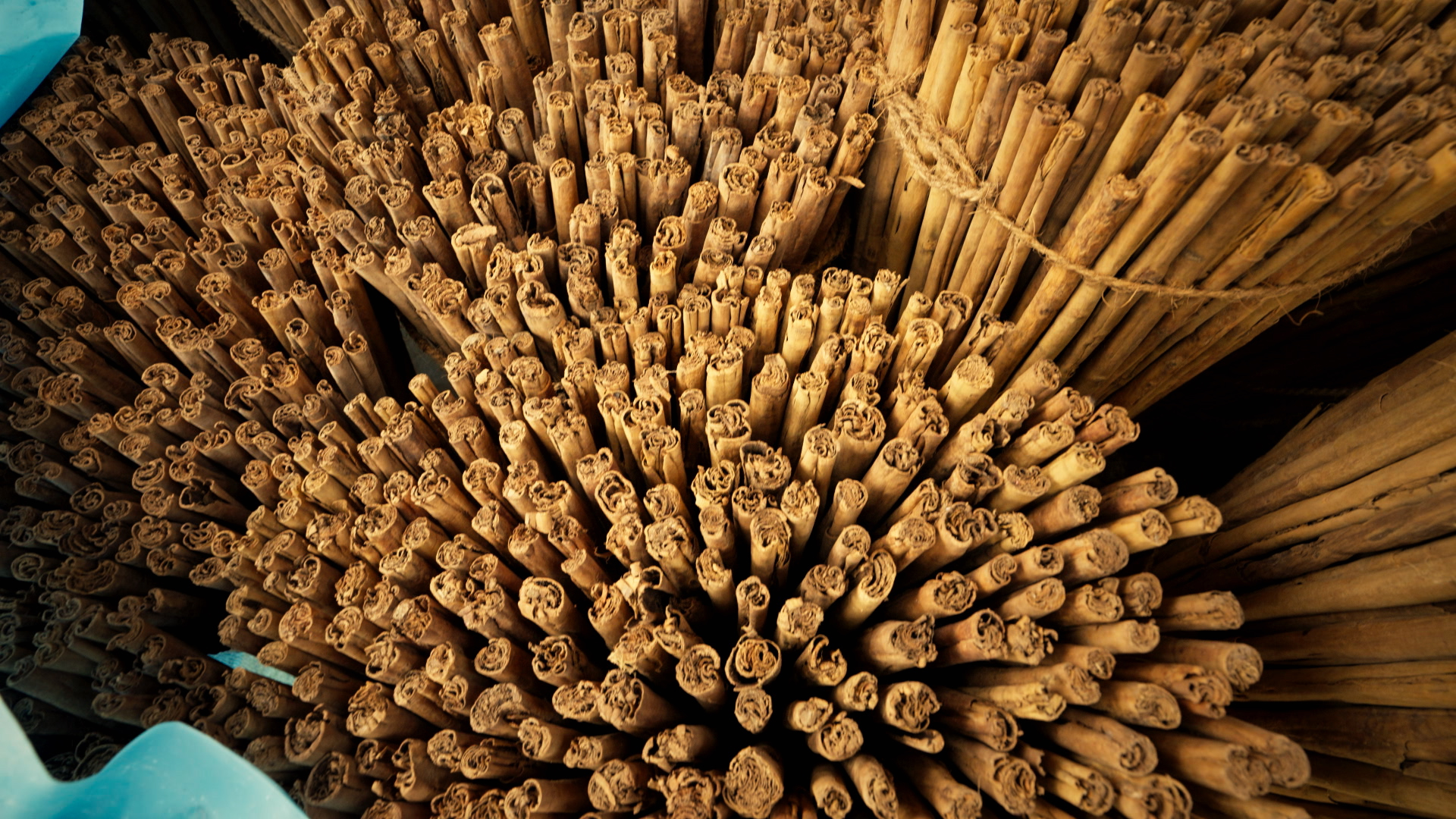 Sekrety świata przypraw